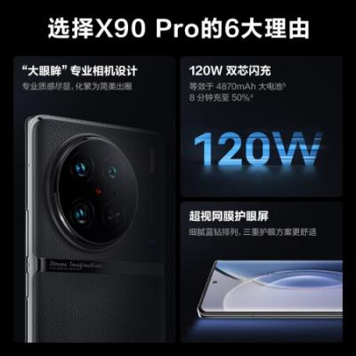 vivo X90 Pro 5G拍照手机 天玑9200旗舰芯片/自研芯片V2/蔡司一英寸T*主摄/120W双芯闪充