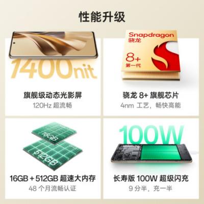 OPPO Reno10 Pro+ 5G智能手机 骁龙8+/旗舰芯片/旗舰级超光影潜望长焦/100W超级闪充/超大内存