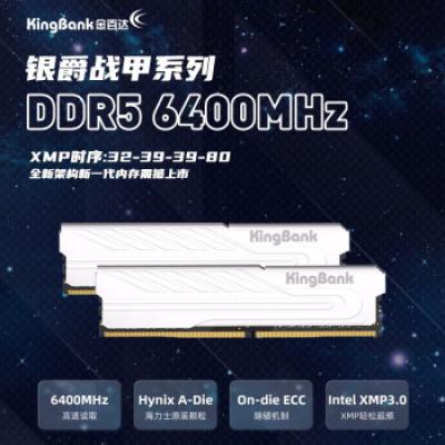 金百达（KINGBANK）银爵D5 16G*2 6400MHz高频台式机内存条 马甲条套装C32